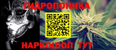 ECSTASY Владимир