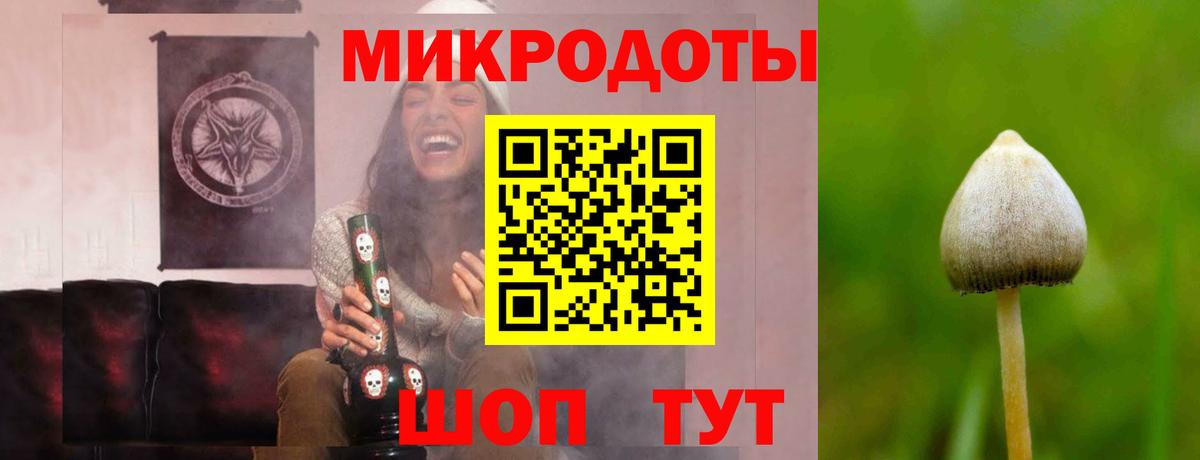 Симферополь  Псилоцибиновые грибы GOLDEN TEACHER  Вход с VPN 